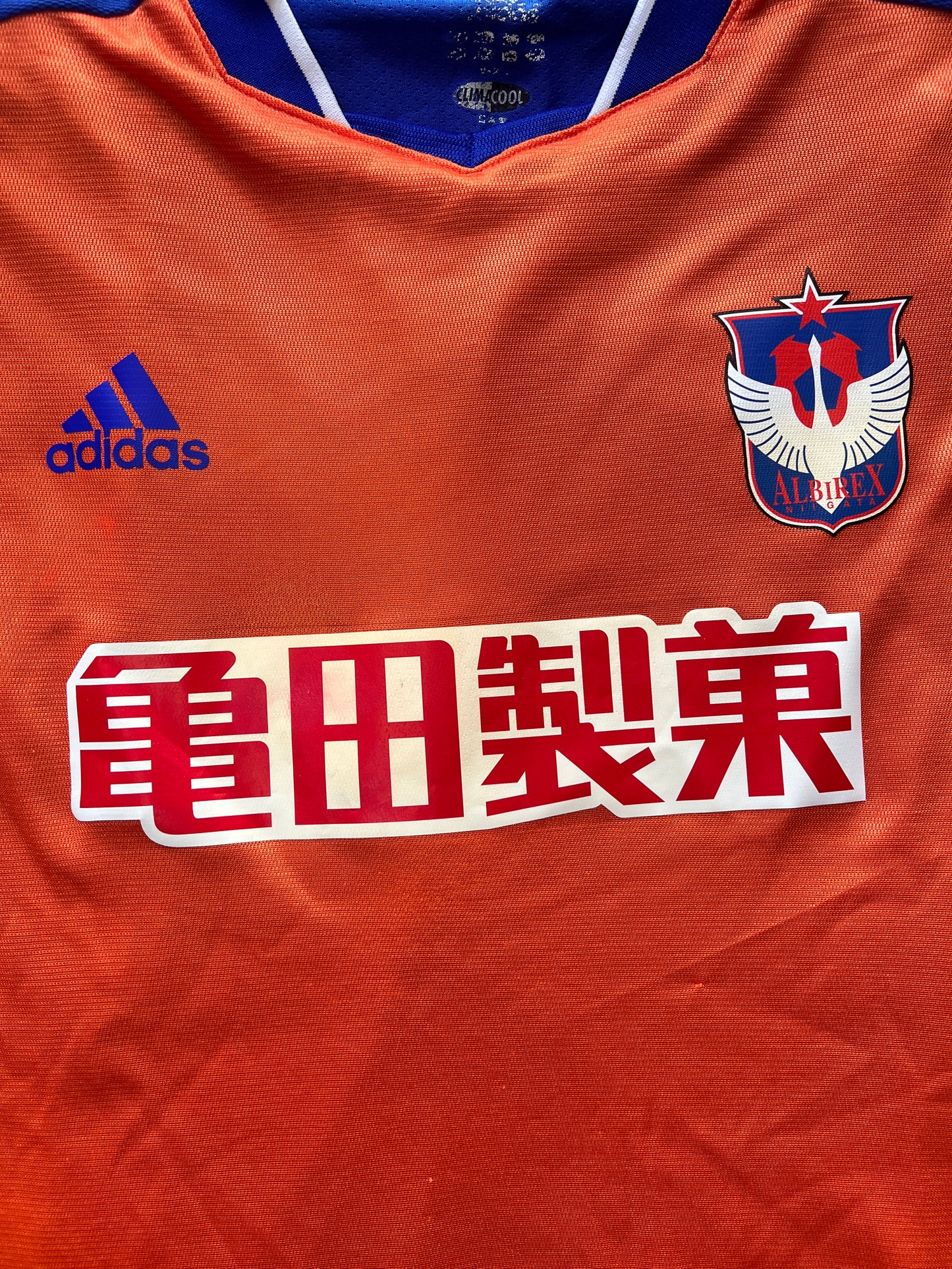2003/04 Albirex Nigaata Home Shirt (Player Issue)
